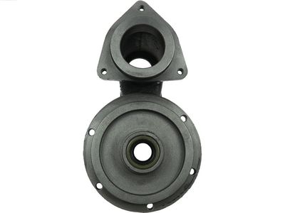 Крышка стартера, карбюратор AS-PL SBR1004