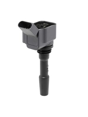 Катушка зажигания BorgWarner (BERU) ZSE236