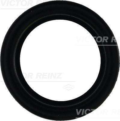 Blīve, Motora bloka galvas vāks VICTOR REINZ 71-27159-00