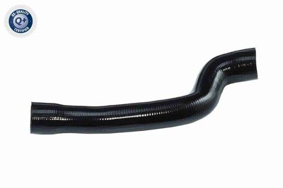 Pūtes sistēmas gaisa caurule VAICO V40-1525