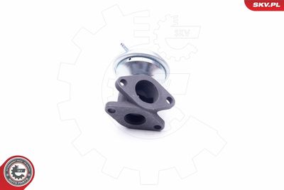 Клапан возврата ОГ ESEN SKV 14SKV183