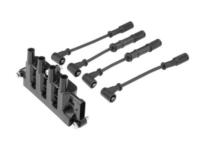 Aizdedzes spole BorgWarner (BERU) ZS079A