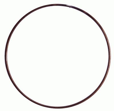 Stiepļu gredzens, Sajūga disks SACHS 3018 091 000