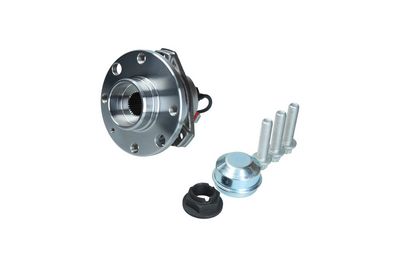 Комплект подшипника ступицы колеса KAMOKA 5500330