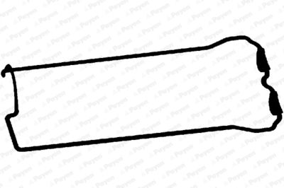 Blīve, Motora bloka galvas vāks PAYEN JM5281