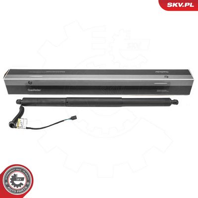 Elektromotors, Bagāžas nod. vāks ESEN SKV 52SKV994