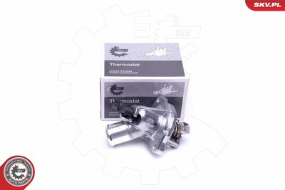 Termostats, Dzesēšanas šķidrums ESEN SKV 20SKV082