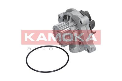Водяной насос, охлаждение двигателя KAMOKA T0042