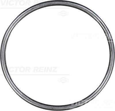 Уплотнительное кольцо VICTOR REINZ 40-76578-00