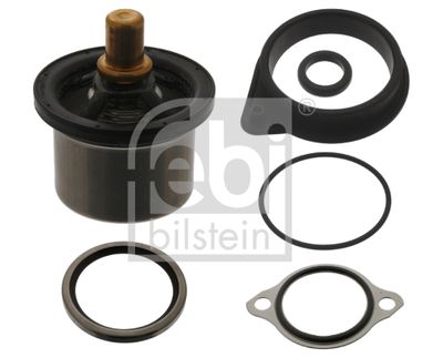 Termostats, Dzesēšanas šķidrums FEBI BILSTEIN 40747