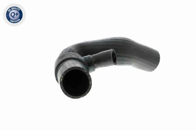 Трубка нагнетаемого воздуха VAICO V102875