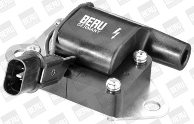 Aizdedzes spole BorgWarner (BERU) ZS263