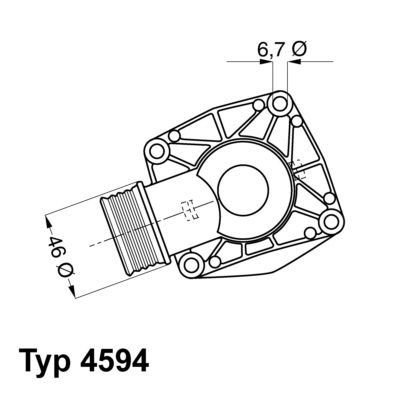 Termostats, Dzesēšanas šķidrums BorgWarner (Wahler) 4594.90D