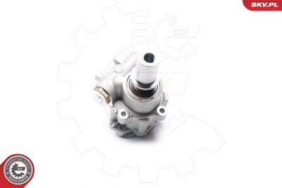 Hidrosūknis, Stūres iekārta ESEN SKV 10SKV217