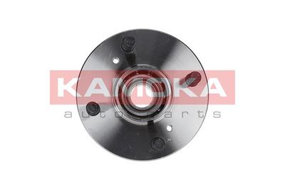 Комплект подшипника ступицы колеса KAMOKA 5500016
