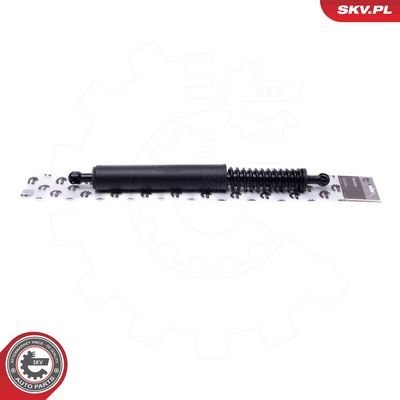 Электромотор, задняя дверь ESEN SKV 52SKV949