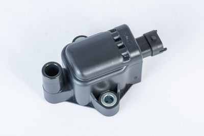 BorgWarner (BERU) ZS593 Aizdedzes spole