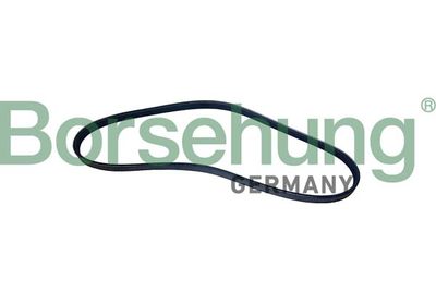 Поликлиновой ремень Borsehung B12496