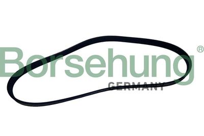 Поликлиновой ремень Borsehung B12499