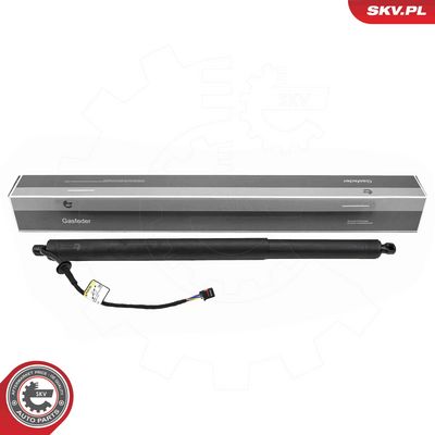 Электромотор, задняя дверь ESEN SKV 52SKV190