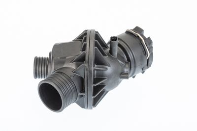 Termostats, Dzesēšanas šķidrums BorgWarner (Wahler) 410795.103D