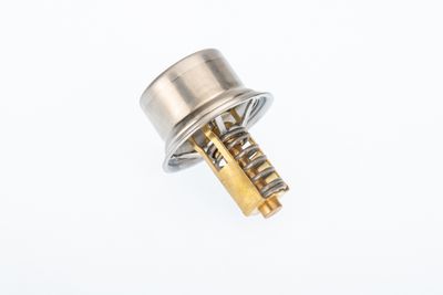 Termostats, Dzesēšanas šķidrums BorgWarner (Wahler) 411678.81D