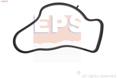 EPS 1890743 Blīve, Termostats