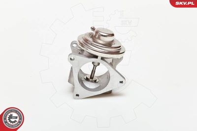 Клапан возврата ОГ ESEN SKV 14SKV019