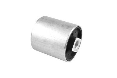 Piekare, Šķērssvira TEDGUM 00082663