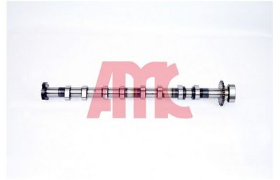 Sadales vārpsta AMC 647492