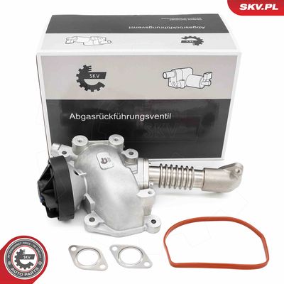 Клапан возврата ОГ ESEN SKV 14SKV257