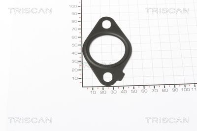 Прокладка TRISCAN 881 399 124