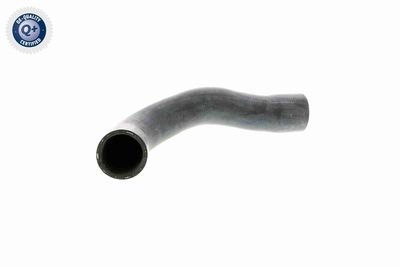 Шланг радиатора VAICO V20-1241