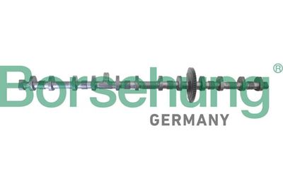  BORSEHUNG B12296