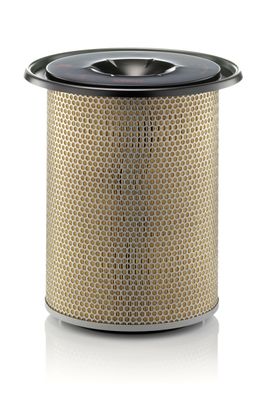 Gaisa filtrs MANN-FILTER C301185