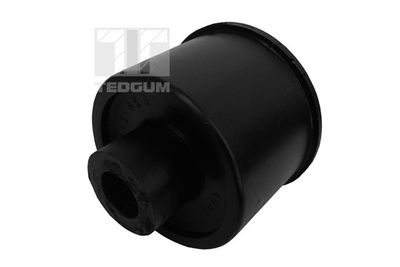 Piekare, Šķērssvira TEDGUM 00131859