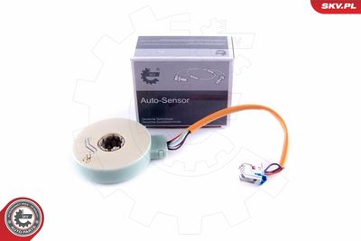 Датчик угла поворота ESEN SKV 17SKV481