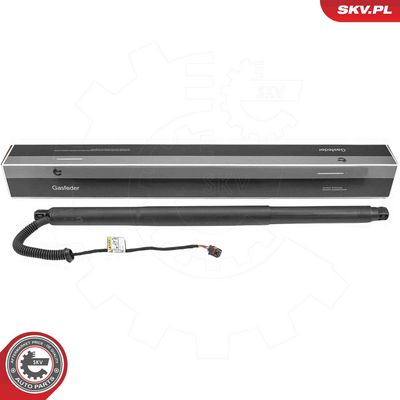 Электромотор, задняя дверь ESEN SKV 52SKV198