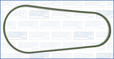 Blīve, Ieplūdes kolektora korpuss AJUSA 01316300