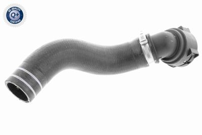 Radiatora cauruļvads VAICO V24-0833