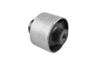 Piekare, Šķērssvira TEDGUM 00445296