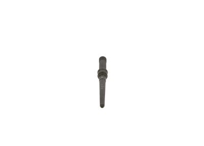 BOSCH F00RJ01919 Spiedienuzgalis, iesmidzināšanas sprausla