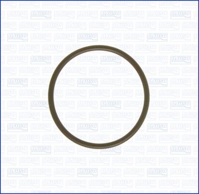 Blīve, Dzesēšanas sķidruma cauruļvads AJUSA 16024300