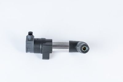 Aizdedzes spole BorgWarner (BERU) ZSE253