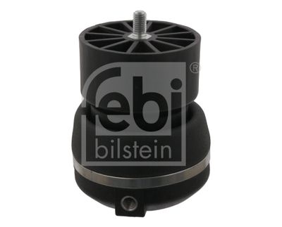 Pneimoatsperes spilvens, Kabīnes atsperojums FEBI BILSTEIN 35032