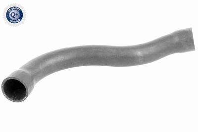 Шланг радиатора VAICO V20-1750