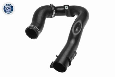 Pūtes sistēmas gaisa caurule VAICO V24-0709