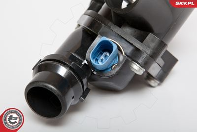 Termostats, Dzesēšanas šķidrums ESEN SKV 20SKV014