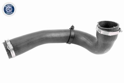 Pūtes sistēmas gaisa caurule VAICO V480185