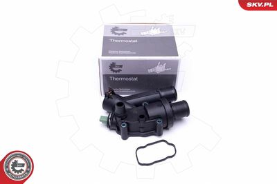 Термостат, охлаждающая жидкость ESEN SKV 20SKV118